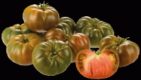 Tomaten, "Marmande choco", (5,99/kg)