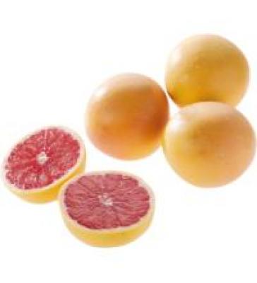 Grapefruit rot